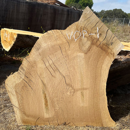 Heritage Valley Oak Live Edge Cookie / Round – 30" x 29" x 2.25" – Old Growth, Air-Dried – #VOP-1