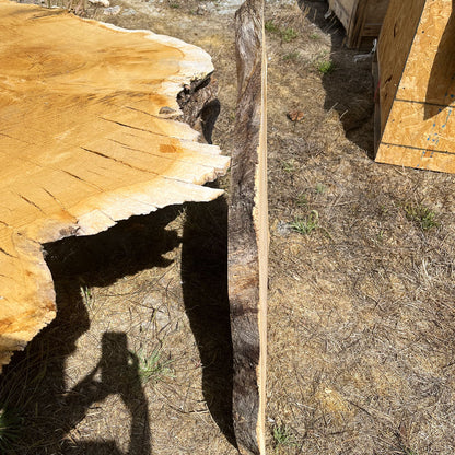 Heritage Valley Oak Live Edge Cookie / Round – 30" x 29" x 2.25" – Old Growth, Air-Dried – #VOP-1