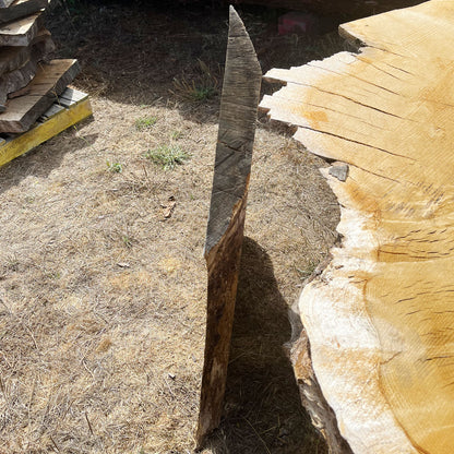 Heritage Valley Oak Live Edge Cookie / Round – 30" x 29" x 2.25" – Old Growth, Air-Dried – #VOP-1