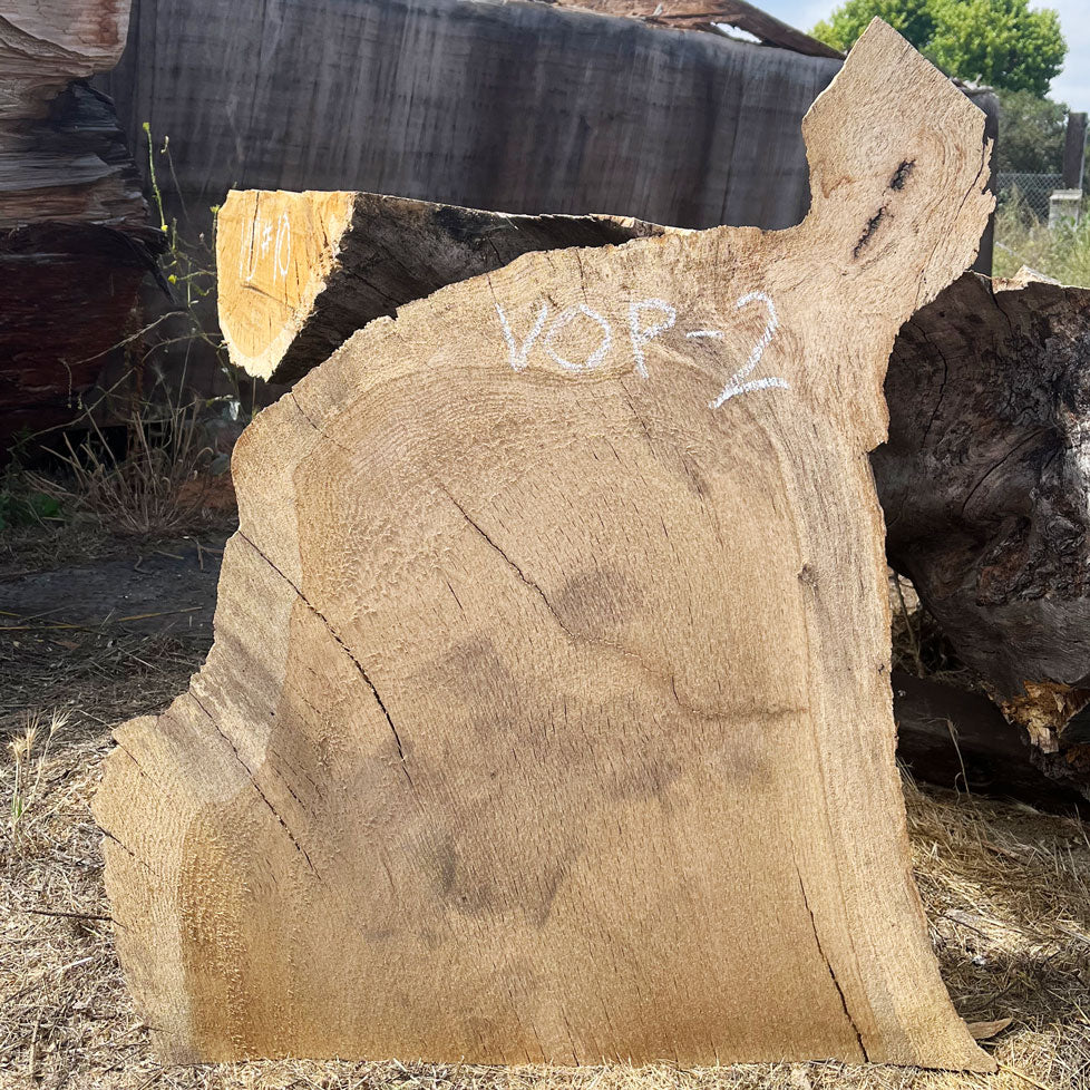 Heritage Valley Oak Live Edge Cookie / Round – 26" x 19" x 1.5" – Old Growth, Air-Dried – #VOP-2