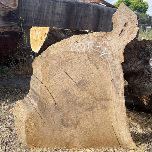 Heritage Valley Oak Live Edge Cookie / Round – 26" x 19" x 1.5" – Old Growth, Air-Dried – #VOP-2