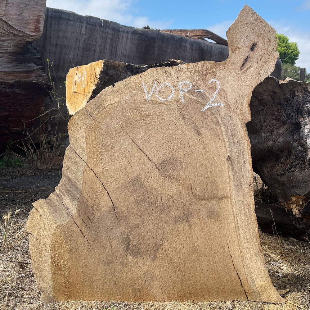 Heritage Valley Oak Live Edge Cookie / Round – 26" x 19" x 1.5" – Old Growth, Air-Dried – #VOP-2