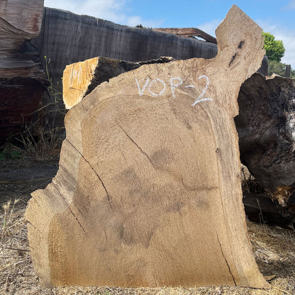 Heritage Valley Oak Live Edge Cookie / Round – 26" x 19" x 1.5" – Old Growth, Air-Dried – #VOP-2