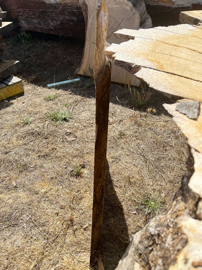 Heritage Valley Oak Live Edge Cookie / Round – 26" x 19" x 1.5" – Old Growth, Air-Dried – #VOP-2