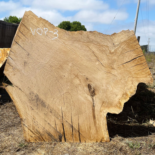 Heritage Valley Oak Live Edge Cookie / Round – 40" x 18" x 2.5" – Old Growth, Air-Dried – #VOP-3