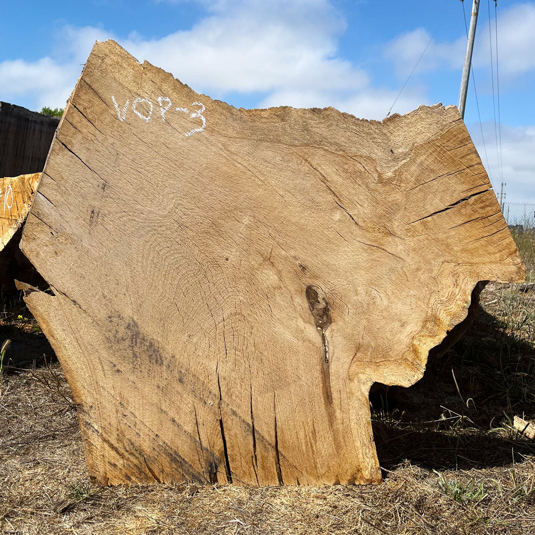 Heritage Valley Oak Live Edge Cookie / Round – 40" x 18" x 2.5" – Old Growth, Air-Dried – #VOP-3
