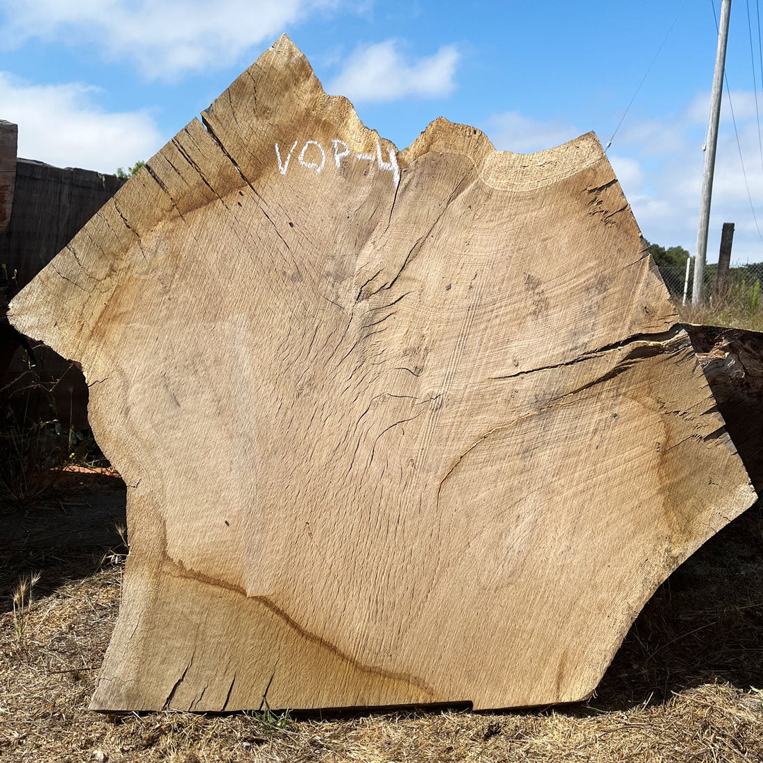 Heritage Valley Oak Live Edge Cookie / Round – 43" x 26.5" x 2.5" – Old Growth, Air-Dried – #VOP-4
