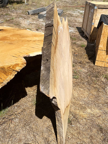 Heritage Valley Oak Live Edge Cookie / Round – 43" x 26.5" x 2.5" – Old Growth, Air-Dried – #VOP-4