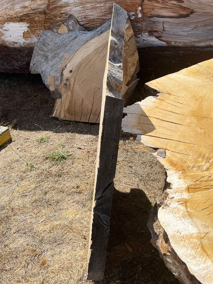 Heritage Valley Oak Live Edge Cookie / Round – 43" x 26.5" x 2.5" – Old Growth, Air-Dried – #VOP-4