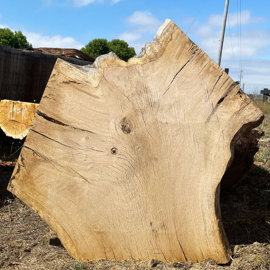 Heritage Valley Oak Live Edge Cookie / Round – 43" x 26.5" x 2.5" – Old Growth, Air-Dried – #VOP-4