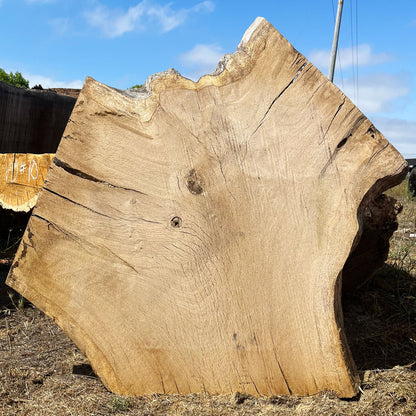 Heritage Valley Oak Live Edge Cookie / Round – 43" x 26.5" x 2.5" – Old Growth, Air-Dried – #VOP-4