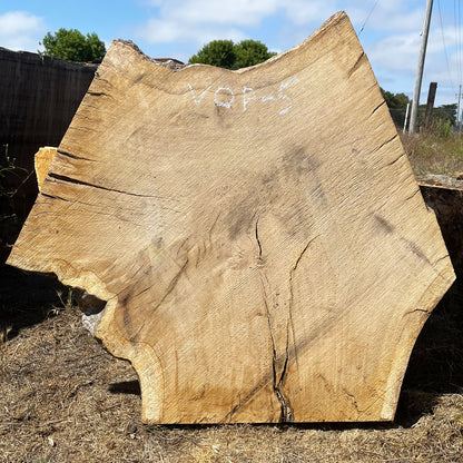 Heritage Valley Oak Live Edge Cookie / Round – 43" x 33" x 2.25" – Old Growth, Air-Dried – #VOP-5