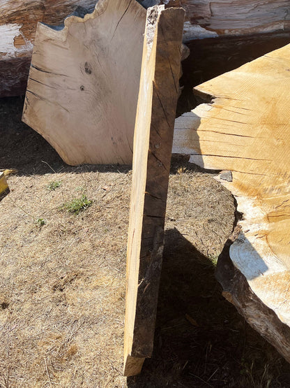 Heritage Valley Oak Live Edge Cookie / Round – 43" x 33" x 2.25" – Old Growth, Air-Dried – #VOP-5