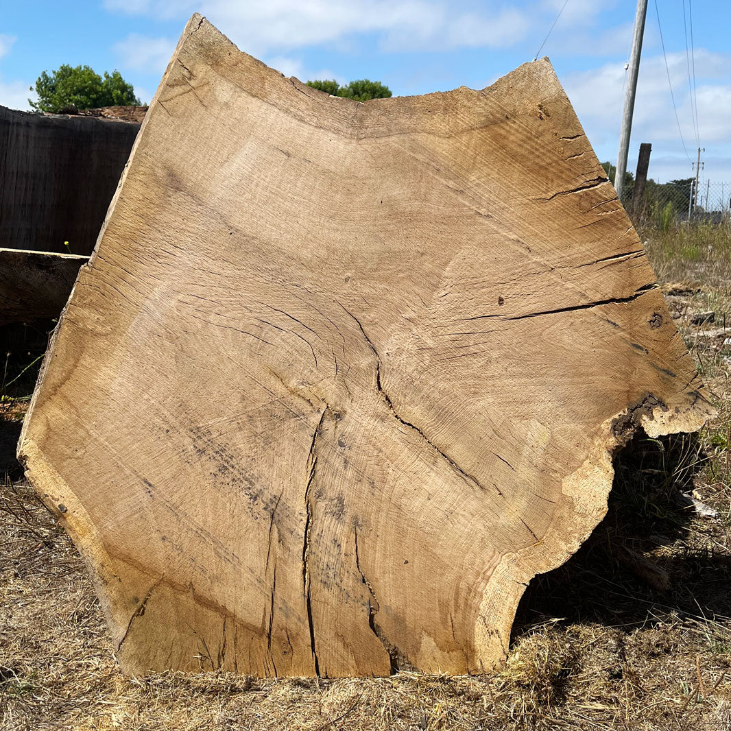 Heritage Valley Oak Live Edge Cookie / Round – 43" x 33" x 2.25" – Old Growth, Air-Dried – #VOP-5