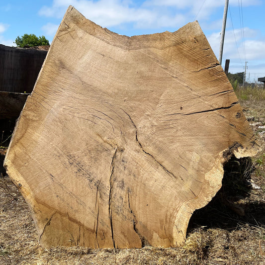 Heritage Valley Oak Live Edge Cookie / Round – 43" x 33" x 2.25" – Old Growth, Air-Dried – #VOP-5
