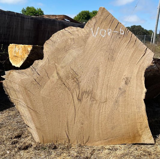 Heritage Valley Oak Live Edge Cookie / Round – 33" x 27" x 2.25" – Old Growth, Air-Dried – #VOP-6