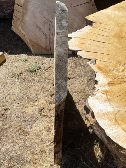 Heritage Valley Oak Live Edge Cookie / Round – 33" x 27" x 2.25" – Old Growth, Air-Dried – #VOP-6