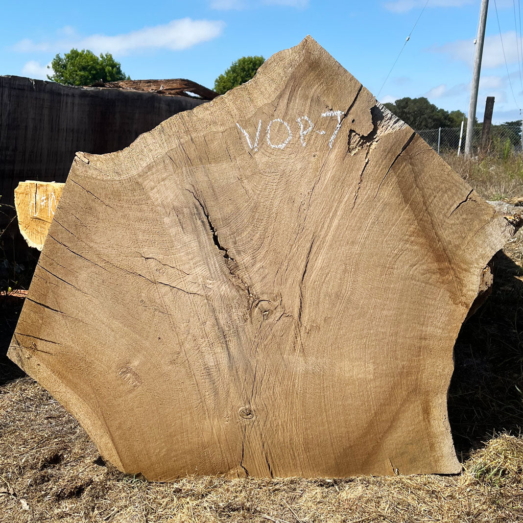 Heritage Valley Oak Live Edge Cookie / Round – 41" x 33" x 2.25" – Old Growth, Air-Dried – #VOP-7