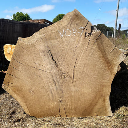 Heritage Valley Oak Live Edge Cookie / Round – 41" x 33" x 2.25" – Old Growth, Air-Dried – #VOP-7
