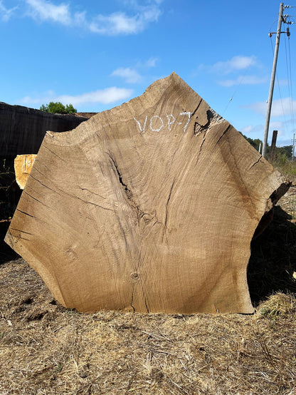 Heritage Valley Oak Live Edge Cookie / Round – 41" x 33" x 2.25" – Old Growth, Air-Dried – #VOP-7