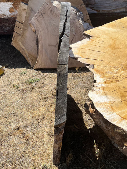 Heritage Valley Oak Live Edge Cookie / Round – 41" x 33" x 2.25" – Old Growth, Air-Dried – #VOP-7