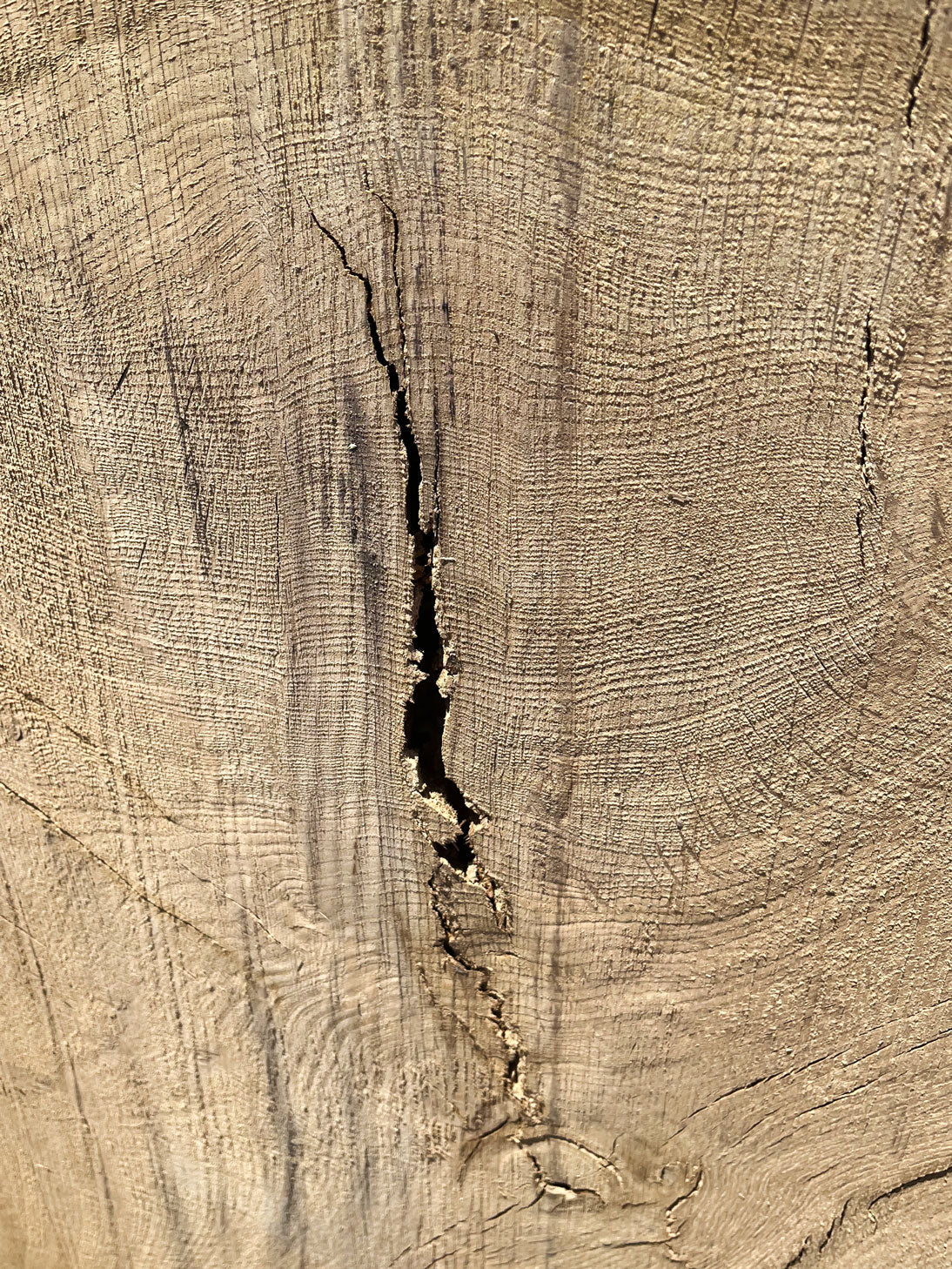 Heritage Valley Oak Live Edge Cookie / Round – 41" x 33" x 2.25" – Old Growth, Air-Dried – #VOP-7