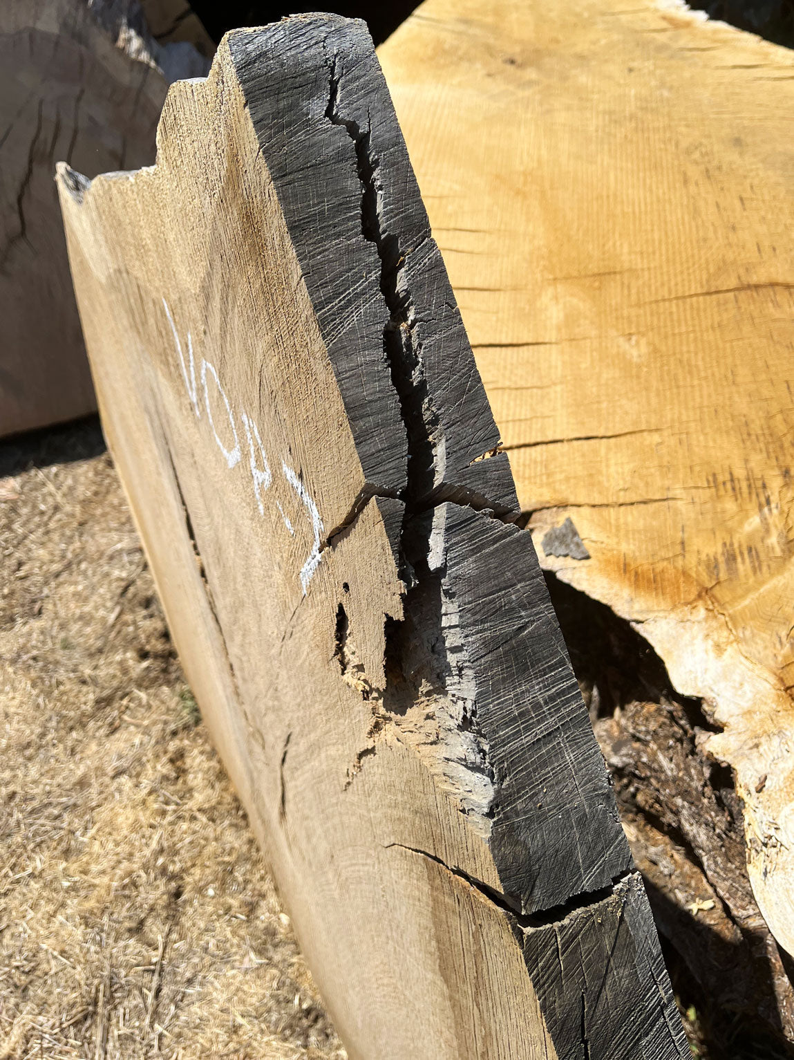 Heritage Valley Oak Live Edge Cookie / Round – 41" x 33" x 2.25" – Old Growth, Air-Dried – #VOP-7