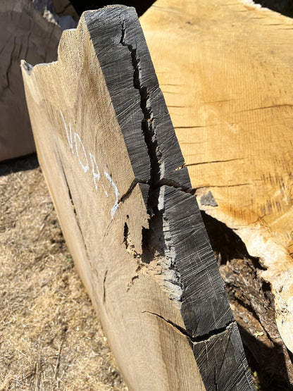 Heritage Valley Oak Live Edge Cookie / Round – 41" x 33" x 2.25" – Old Growth, Air-Dried – #VOP-7