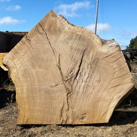 Heritage Valley Oak Live Edge Cookie / Round – 41" x 33" x 2.25" – Old Growth, Air-Dried – #VOP-7