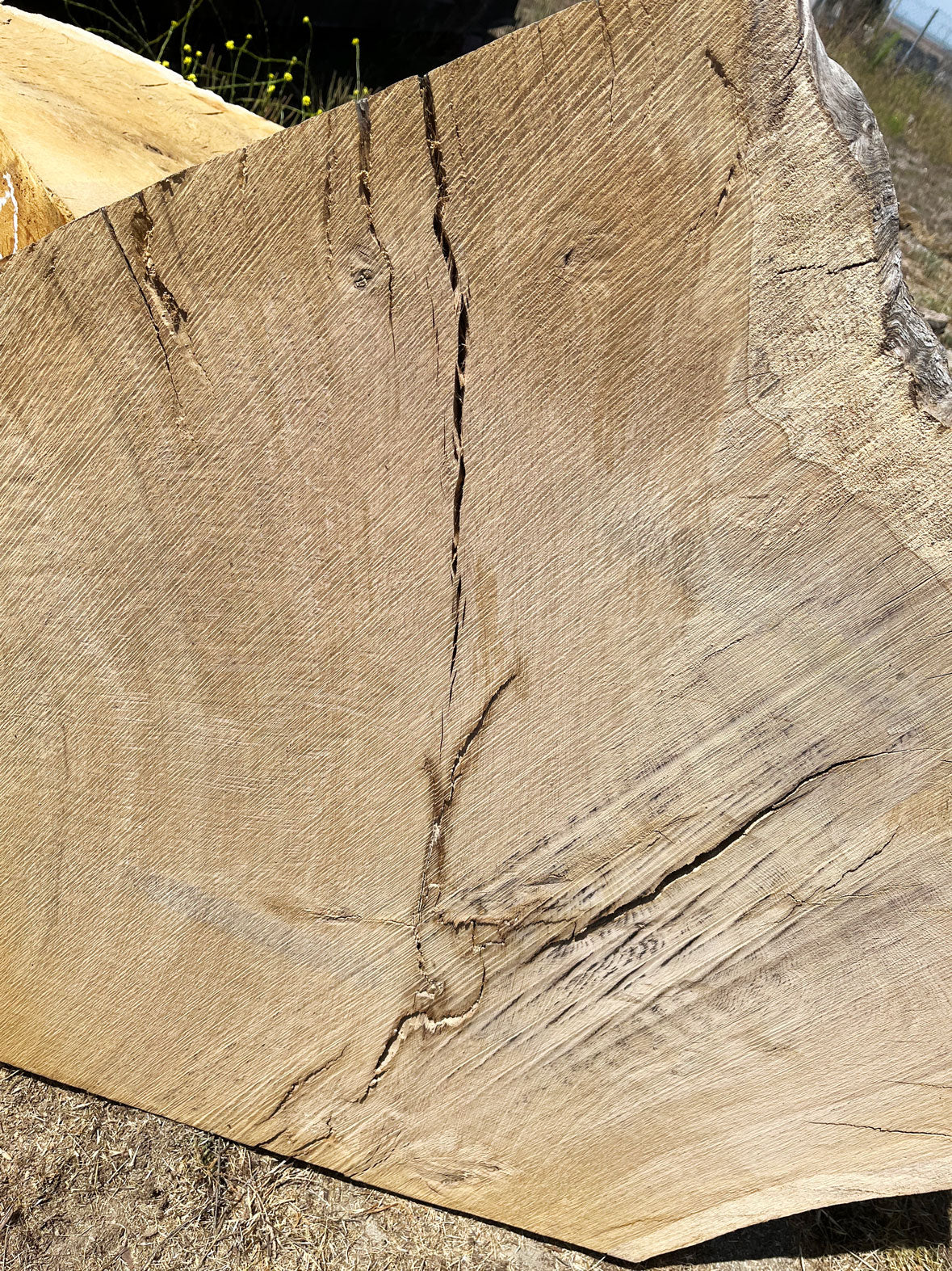 Heritage Valley Oak Live Edge Cookie / Round – 41" x 33" x 2.25" – Old Growth, Air-Dried – #VOP-7