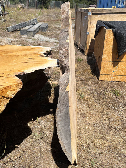 Heritage Valley Oak Live Edge Cookie / Round – 34" x 33" x 2.5" – Old Growth, Air-Dried – #VOP-8