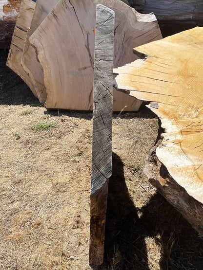 Heritage Valley Oak Live Edge Cookie / Round – 34" x 33" x 2.5" – Old Growth, Air-Dried – #VOP-8