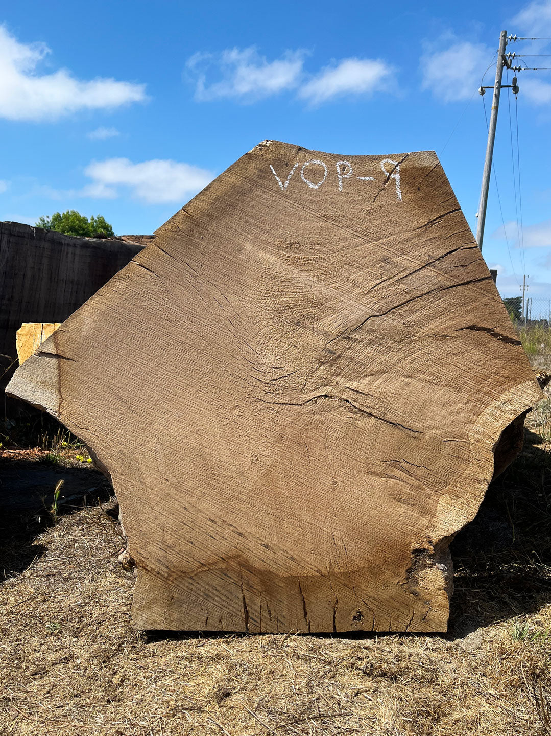 Heritage Valley Oak Live Edge Cookie / Round – 38" x 24" x 2.5" – Old Growth, Air-Dried – #VOP-9