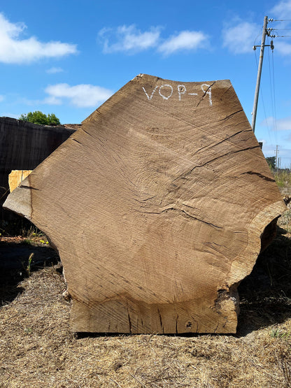 Heritage Valley Oak Live Edge Cookie / Round – 38" x 24" x 2.5" – Old Growth, Air-Dried – #VOP-9