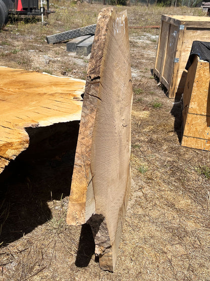 Heritage Valley Oak Live Edge Cookie / Round – 38" x 24" x 2.5" – Old Growth, Air-Dried – #VOP-9