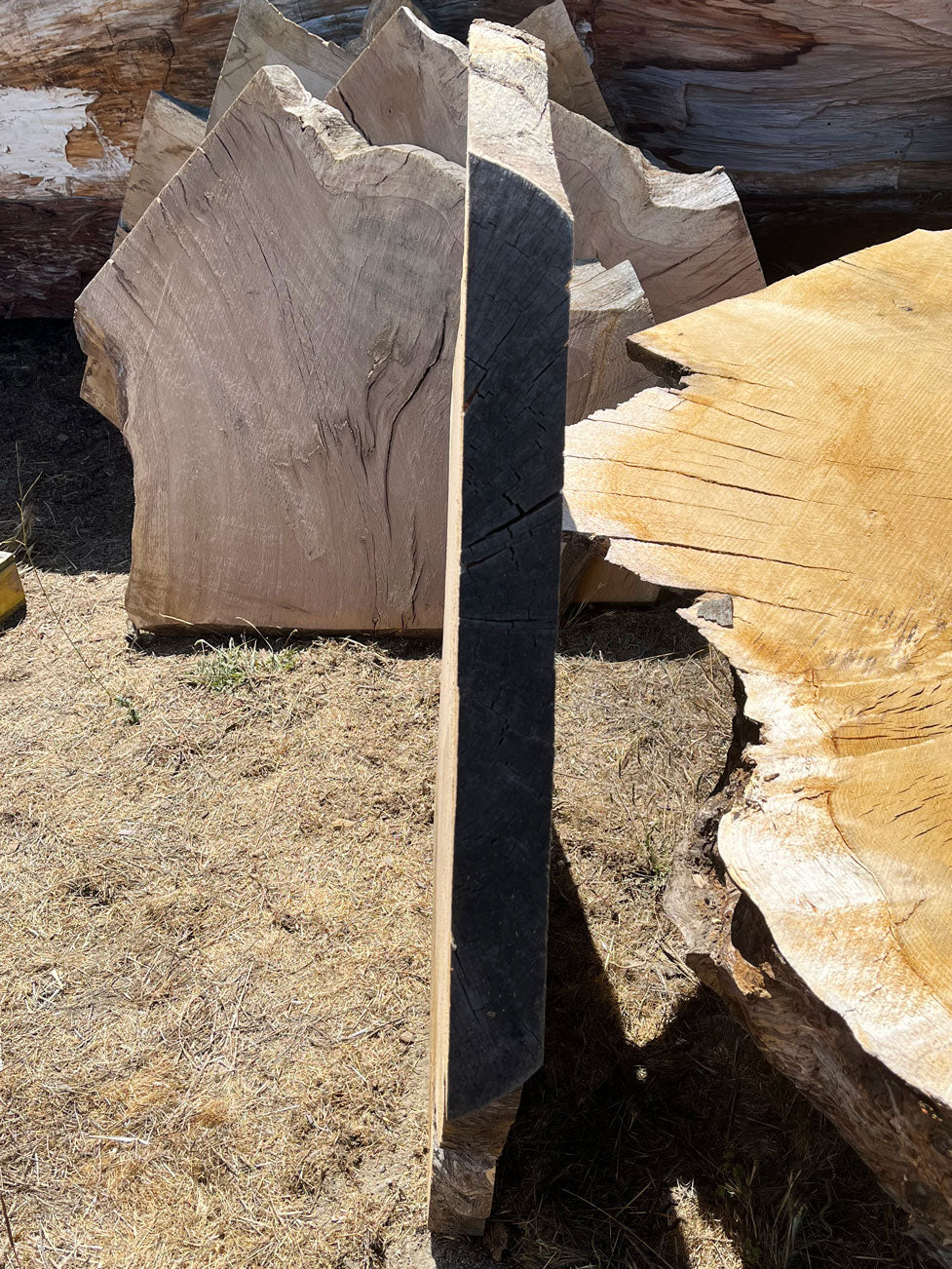 Heritage Valley Oak Live Edge Cookie / Round – 38" x 24" x 2.5" – Old Growth, Air-Dried – #VOP-9