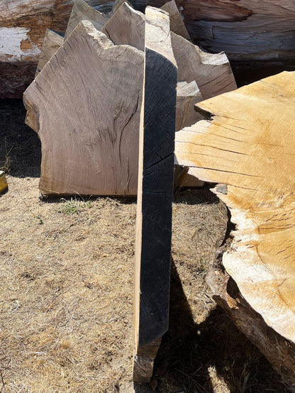 Heritage Valley Oak Live Edge Cookie / Round – 38" x 24" x 2.5" – Old Growth, Air-Dried – #VOP-9