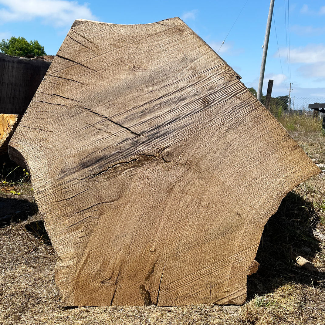 Heritage Valley Oak Live Edge Cookie / Round – 38" x 24" x 2.5" – Old Growth, Air-Dried – #VOP-9