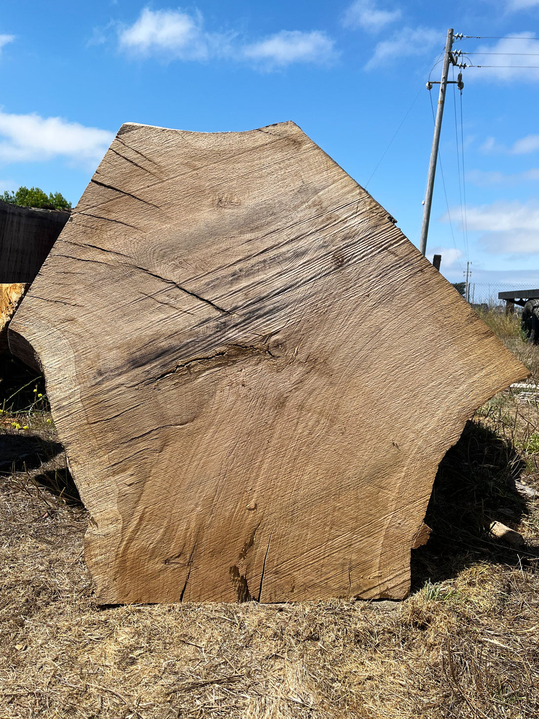 Heritage Valley Oak Live Edge Cookie / Round – 38" x 24" x 2.5" – Old Growth, Air-Dried – #VOP-9