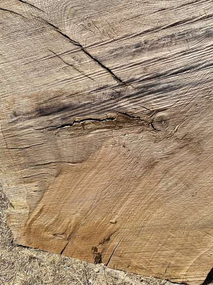 Heritage Valley Oak Live Edge Cookie / Round – 38" x 24" x 2.5" – Old Growth, Air-Dried – #VOP-9