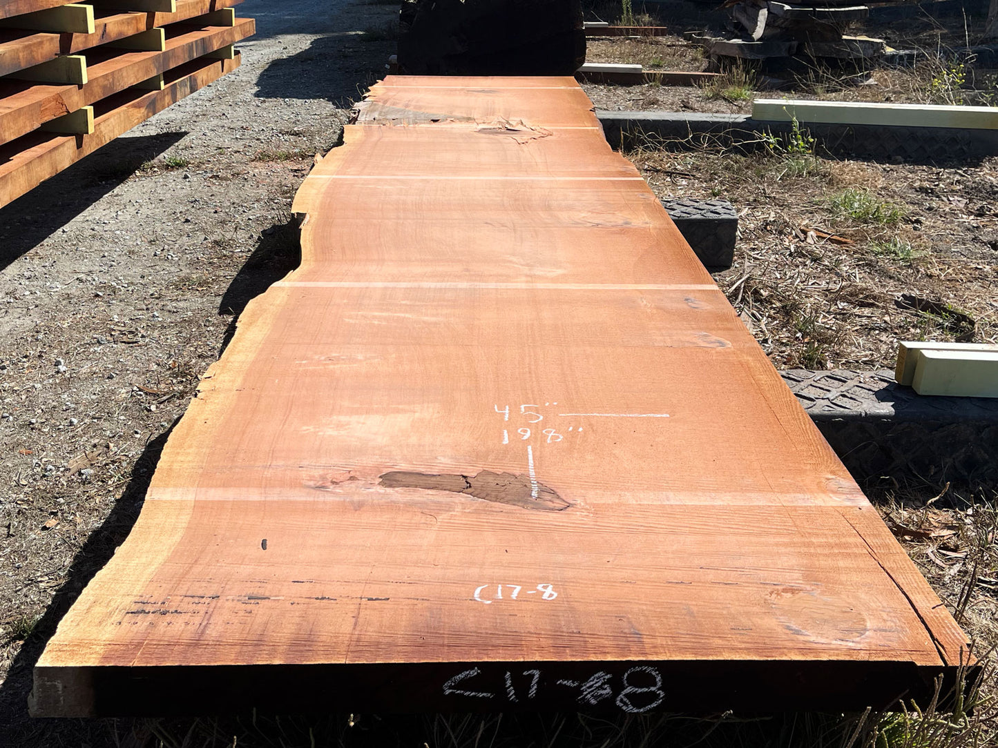Giant Sequoia Live Edge Slab – 16.5' x 45" x 3.25" – Old Growth, Air-Dried – #C17-8