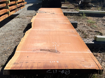 Giant Sequoia Live Edge Slab – 16.5' x 45" x 3.25" – Old Growth, Air-Dried – #C17-8