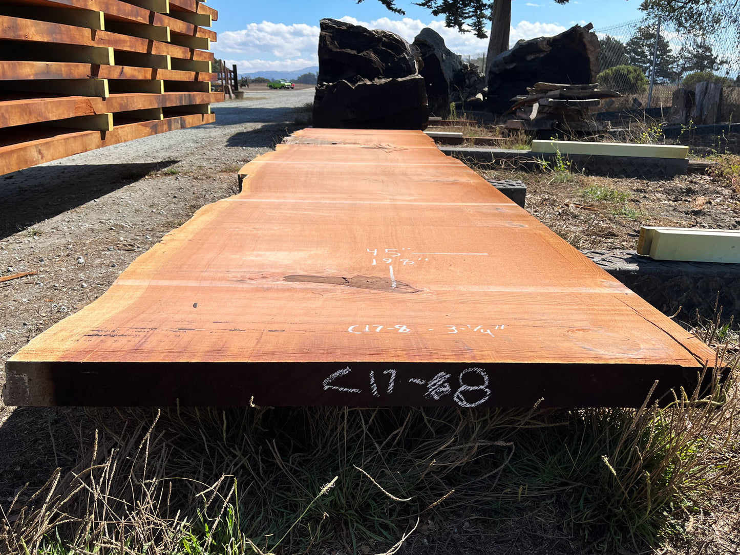 Giant Sequoia Live Edge Slab – 16.5' x 45" x 3.25" – Old Growth, Air-Dried – #C17-8