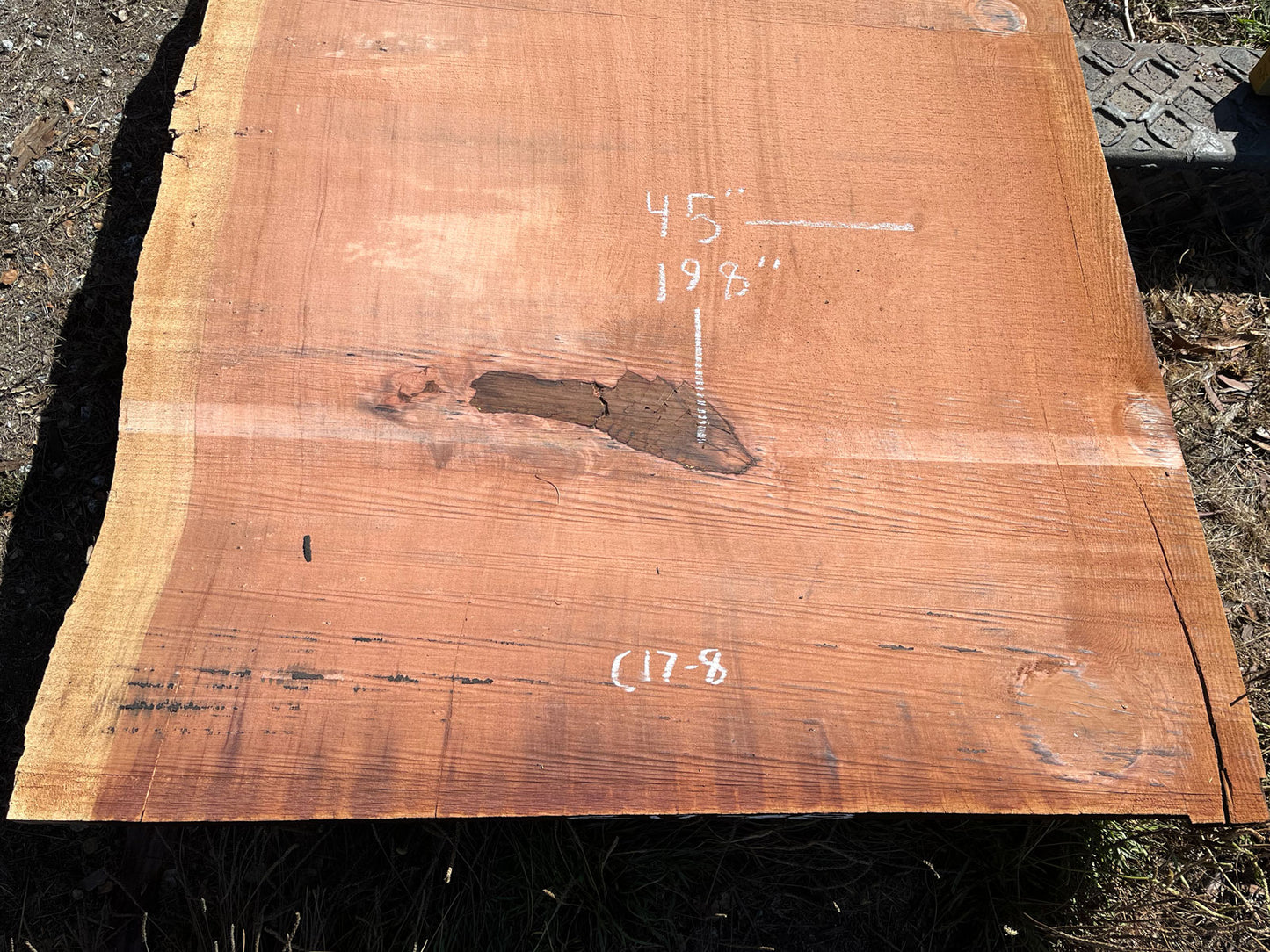 Giant Sequoia Live Edge Slab – 16.5' x 45" x 3.25" – Old Growth, Air-Dried – #C17-8
