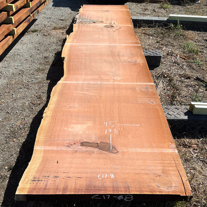 Giant Sequoia Live Edge Slab – 16.5' x 45" x 3.25" – Old Growth, Air-Dried – #C17-8