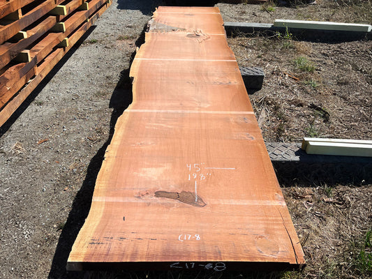 Giant Sequoia Live Edge Slab – 16.5' x 45" x 3.25" – Old Growth, Air-Dried – #C17-8