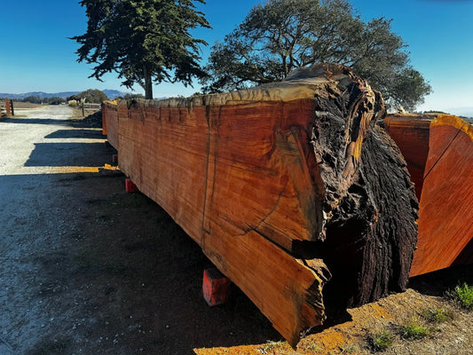 Old Growth Sequoia Cant - Air-Dried, Milled or Raw
