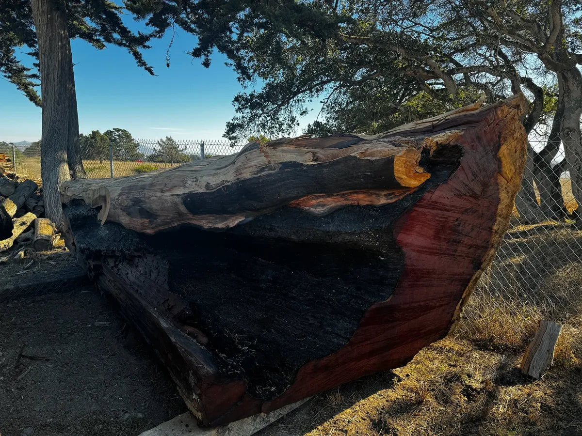 Quarter-Cut Old Growth Giant Sequoia Cant – Architectural Grade