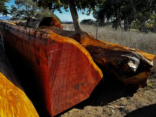 Old Growth Sequoia Quarter/Cant - Air-Dried, Milled or Raw