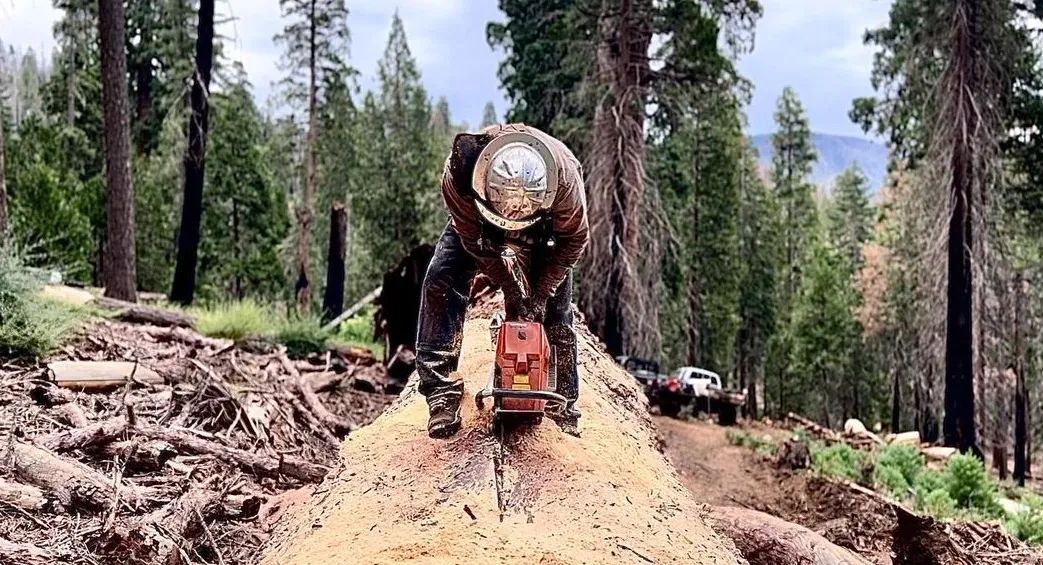 About Old Growth Lumber Co. About Old Growth Lumber Co.